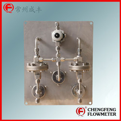 LZ series  glass tube flowmeter purge set high accuracy [CHENGFENG FLOWMETER]  Chinese professional manufacture permanent flow valve